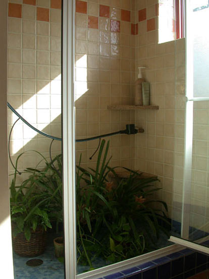 shower-plant watering system